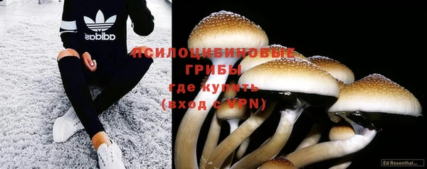 мдпв Сосновоборск