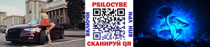 Галлюциногенные грибы GOLDEN TEACHER Верещагино